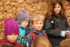 033